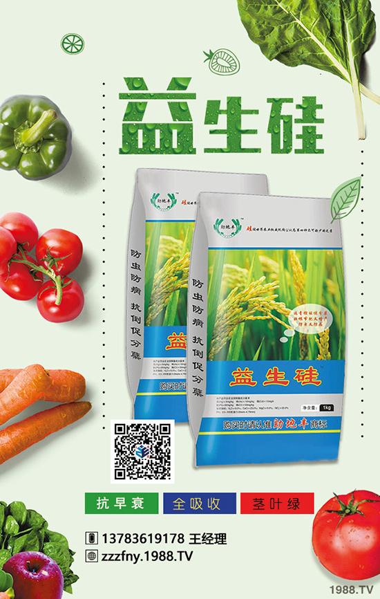 �J����ʩ��������(w��n)�}�Ľ�Q������ֵ���ղأ�