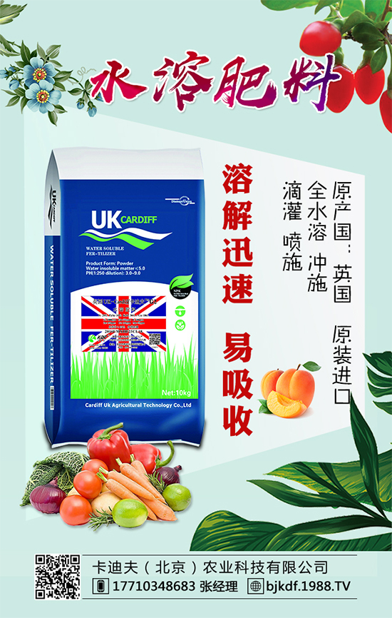 �S����Ҫ��ô�Nֲ���S���ˌ��h(hu��n)���l����Ҫ����