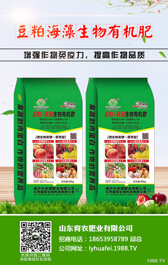 �۲����߲�����ЩΣ���Y�����۲����߲��İY����δ�ʩ