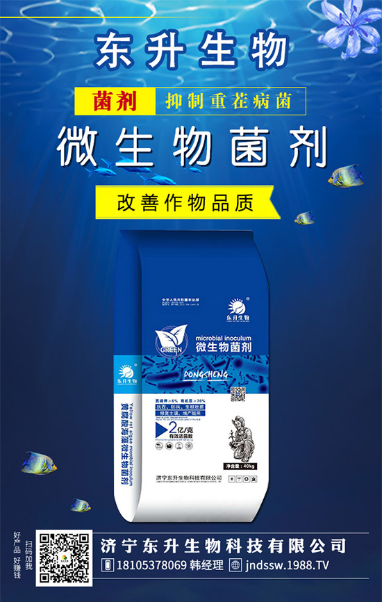 ʯ���(sh��)ʲô�r(sh��)��޽Ӻ���ʯ���(sh��)�޽ӷ�������Щ�أ�