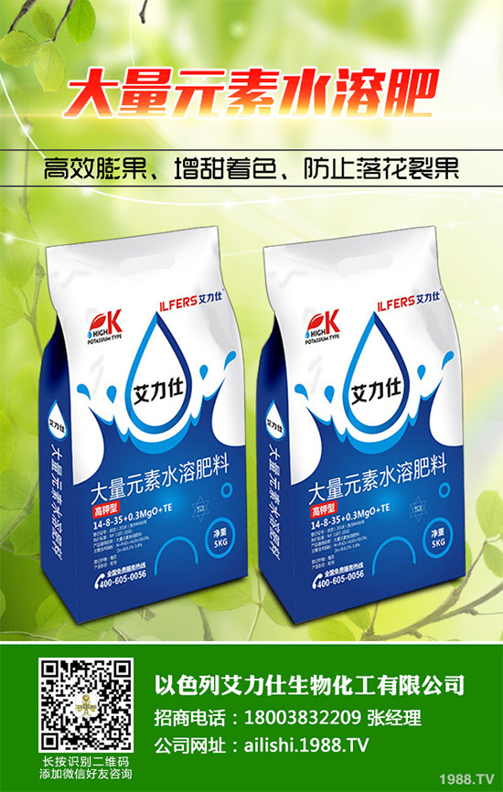 �۲˸���������ΰl(f��)������ԓ���ӷ��Σ������������