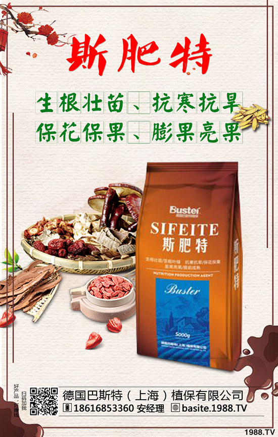 2020-1-17���؃r��С���»����������������߄��A(y��)�y��