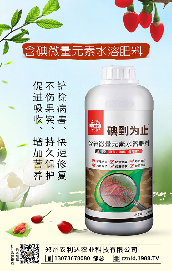 �����m�ĿƌWʩ�ʷ��������˽�᣿