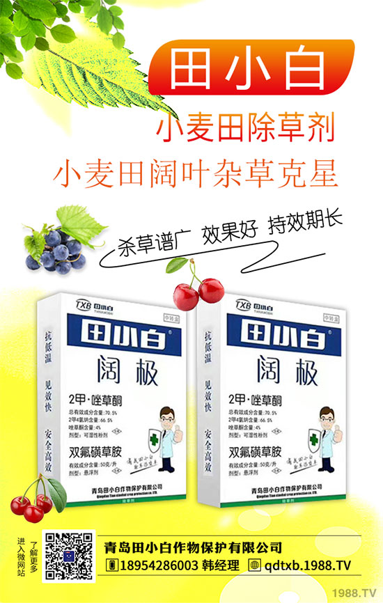 2020��1��17�ճ��݄�ԭˎ�Ј��r(ji��)���߄�