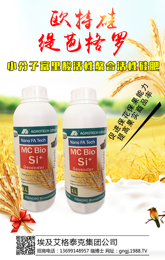 ���������Y(ji��)��������ô���£��������������������