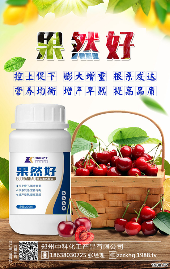 �O����Ę������Щ�Y�����O����Ę��ԭ�򼰷�����