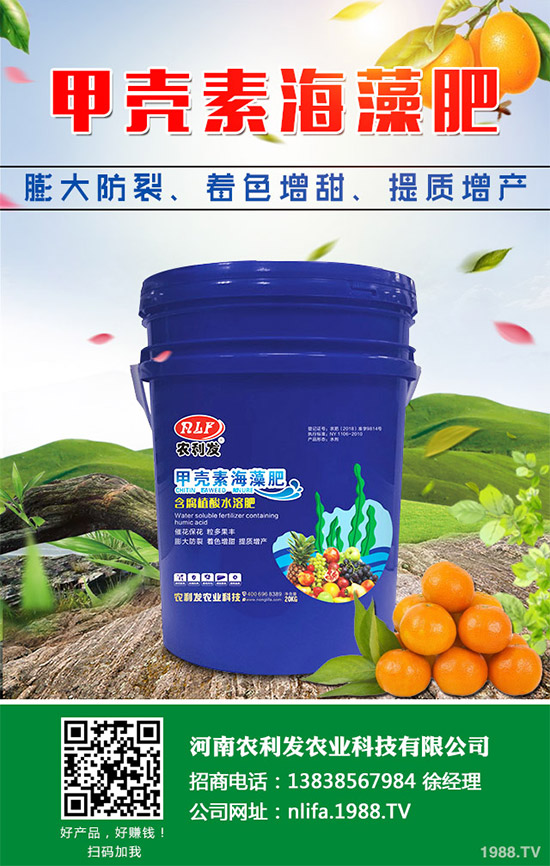 �t���c�uѪ������Щ�^(q��)�e�����߹�Ч�÷��cʹ�ý���