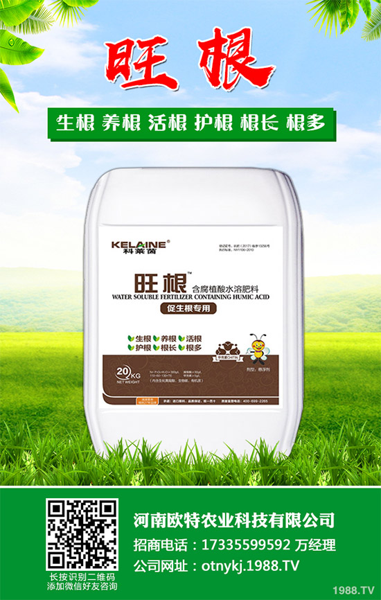 �t������Щ���湦Ч���t�ٵĹ�Ч���ü�������Ⱥ