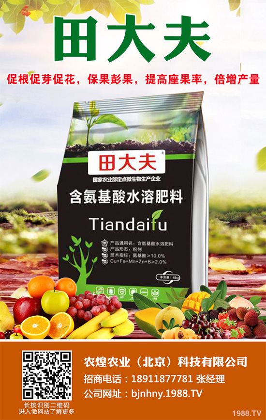 �Nֲʲôˮ����(hu��)ٍ�X��2020��ˮ���Nֲָ��