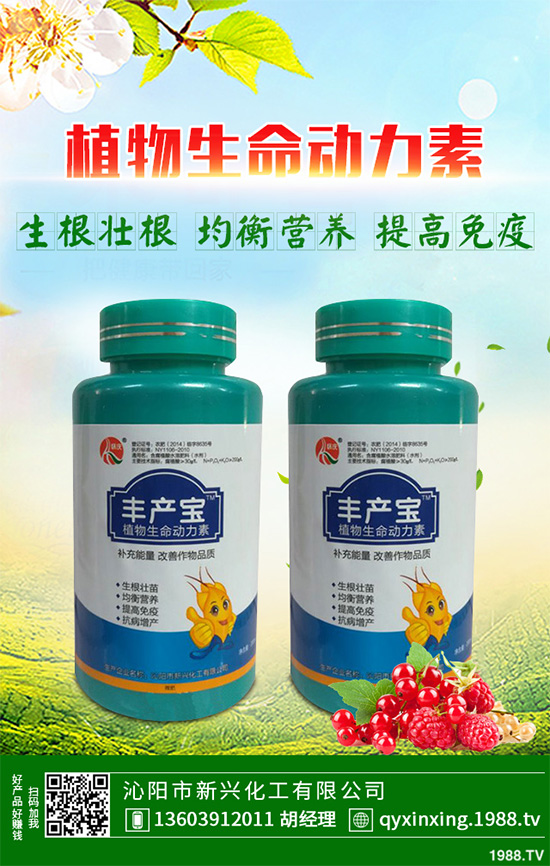 ���Ӳ��ܷN�ô�ײˣ���ײ˸߮a�Nֲ���gҪ�c