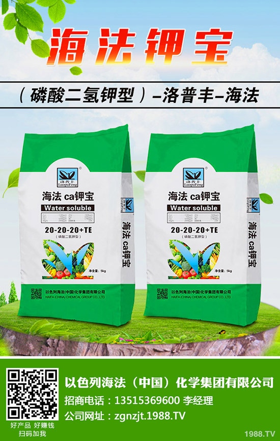 �������ö�������޼�����䶬���޼��ĕr�g��������