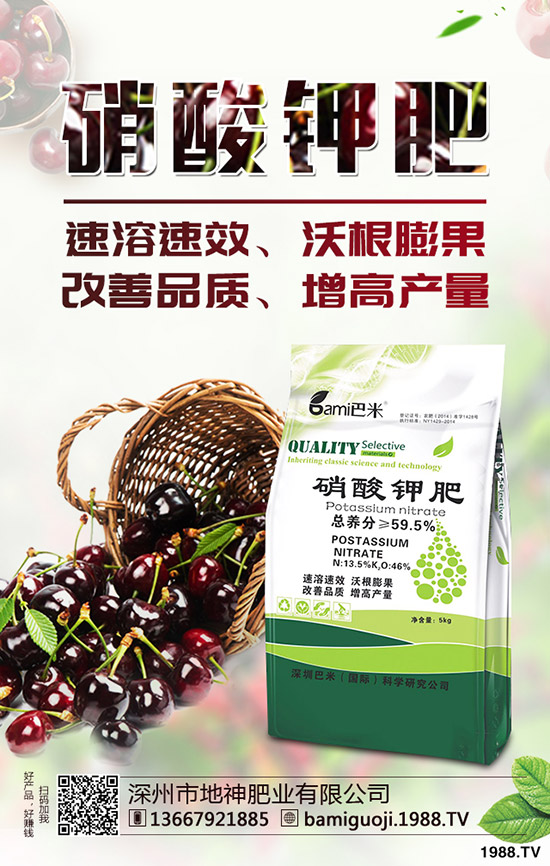 �óԵ���ȹ�Ҫ��ηNֲ����ȹ��Nֲ�r(sh��)�g��������