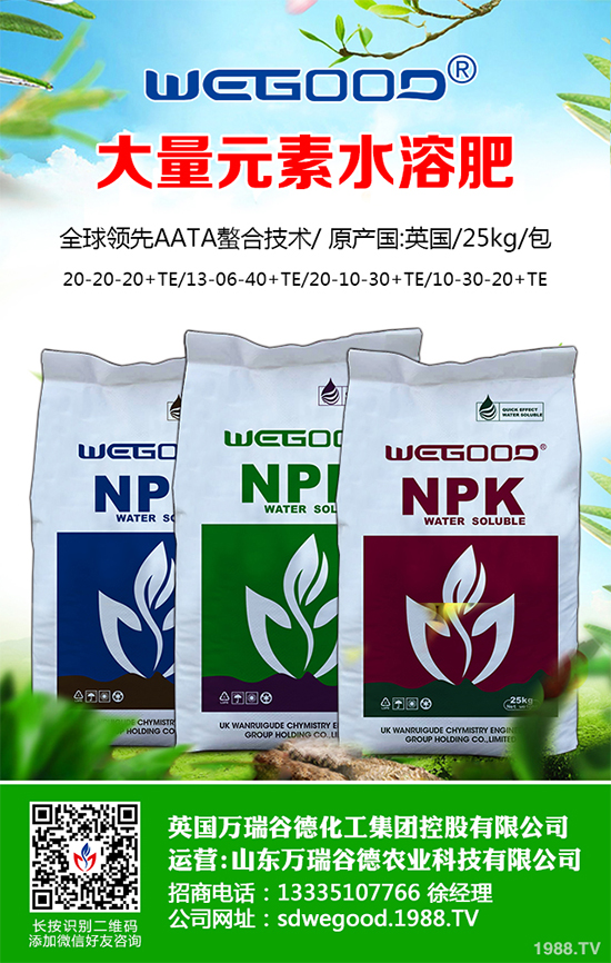 ¶������ʲô�r��Nֲ��¶�������߮a(ch��n)�Nֲ���g(sh��)