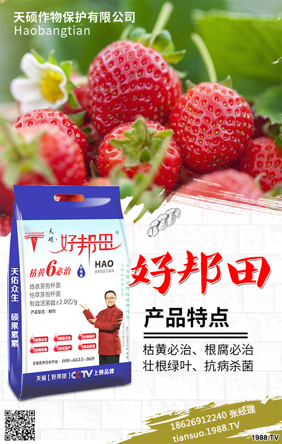 �����Ϲ�ԓ��ηNֲ�������Ϲϴ���Nֲ���g(sh��)