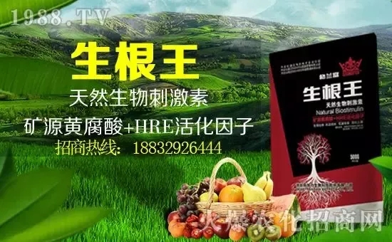 С���q�r�����e��r���^2500Ԫ/����