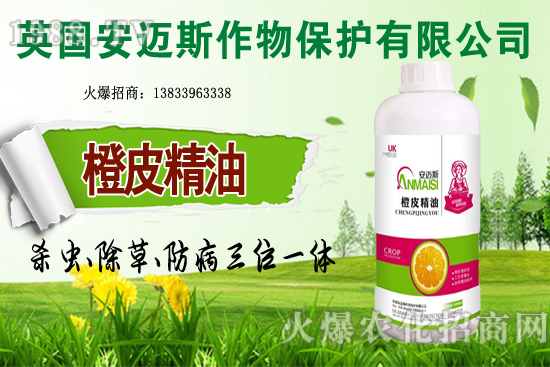 10�·Nֲ��Щ�߲˸����m�����g����Ҫ���cץ���Ď��c��