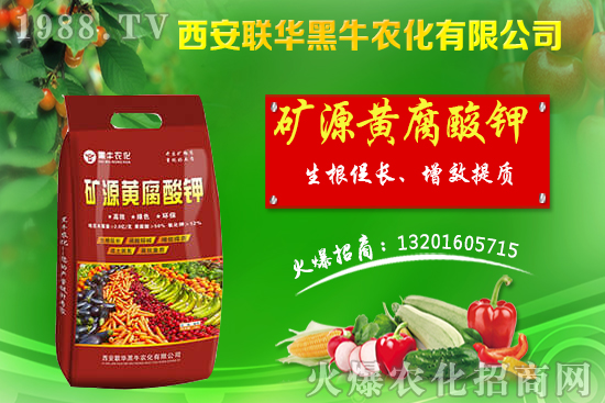 �＾����ԓ��ι������＾������푪(y��ng)������Ĵ��`�^(q��)��