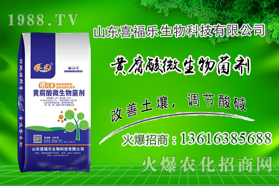 �����r��(w��n)��ƫ��(qi��ng)��2020��10��14�ջ����r���������