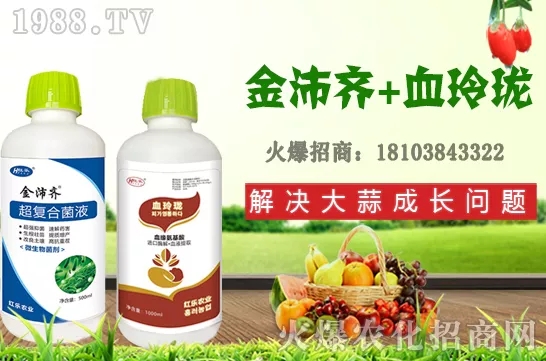     �ļ�ʯ�����L��(x��)������Щ���ļ�ʯ����ֲ���g(sh��)�������ڹ�����