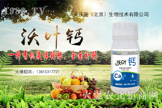 ����߀���ٝq����2020��10��20�ջ����r������