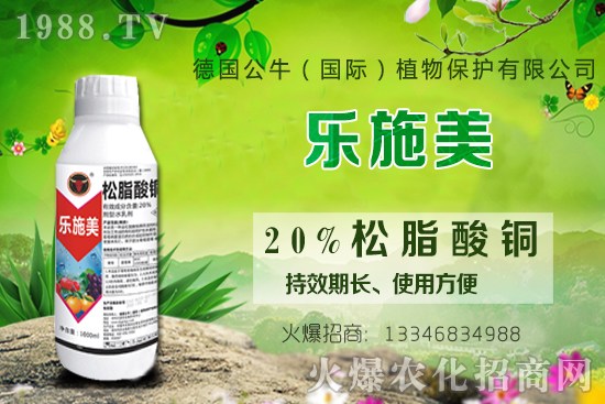 ������ʩ�ʕr�g��ʲô�r����������ԓ���ʩ�ʣ�