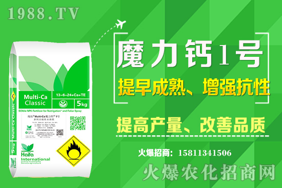 ʮ����Ѯ�m�ϷNֲʲô��ˎ������Щ��ˎ��ٍ�X�������