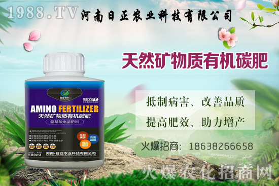 ���@������ѕr�g�ǺΕr���Д���(bi��o)��(zh��n)��ʲô�����@����ע�������