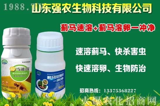 �ﶬ11�·Nֲʲô�߲˱��^���m���߲˷Nֲע�����(xi��ng)��