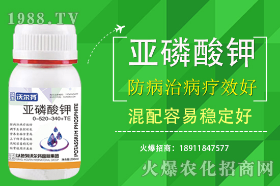 �������Ҫ��������ʲô������֮�g��ʲô�P(gu��n)ע��