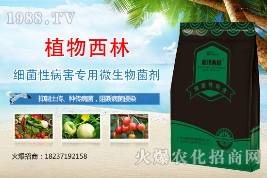 ����̿�Ҳ��Y����ʲô������̿�Ҳ��l(f��)��ԭ�򼰷���