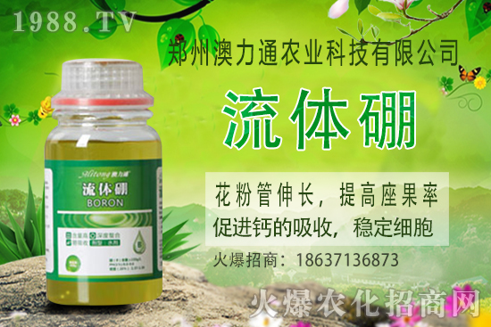 ⛷ʃr����m(x��)���q��2020-10-30����(n��i)⛷ʃr���rһ�[