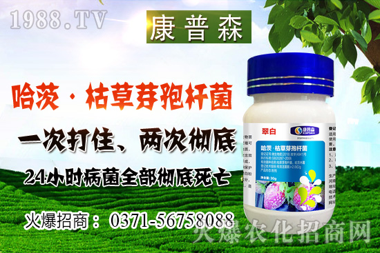 С���r(ji��)��ֹ���ط�(w��n)��С���r(ji��)���ܝq������