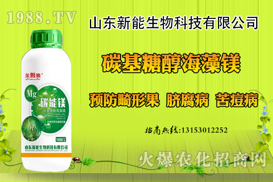 ���������ݮ���ι�ԭ�򣬳��F(xi��n)���ι���ô������