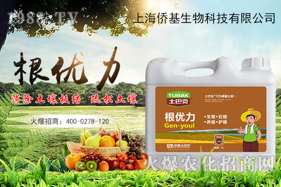 ����������ʲô�ʣ��������x������Щ��