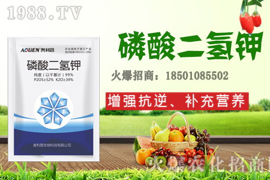 ����ʩ�D�ʺ�̎����Щ����Щ����Ҫʩ���D��ԓ��ôʩ��