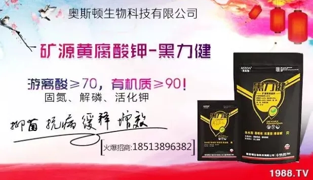 ����ʲô�r(sh��)�g���N��ע�����(xi��ng)����Щ�����ش���Nֲ�r(sh��)�g����