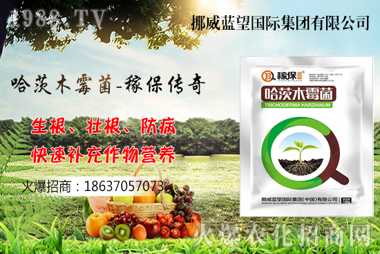 �ի@���С����΃����أ�С�������P(gu��n)�I�c������