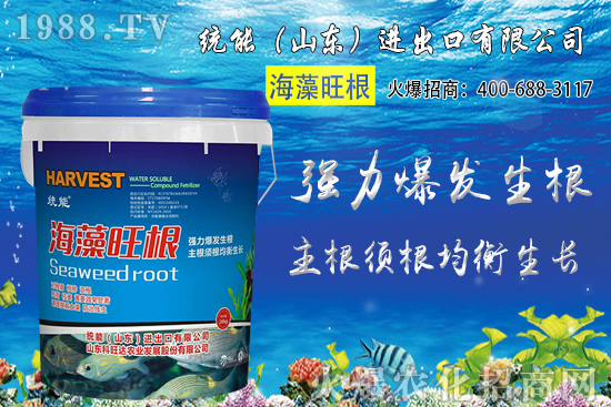 С���r(ji��)��󷶇��ϝq���A(y��)Ӌ(j��)С���r(ji��)��ͻ��1.25Ԫ/��