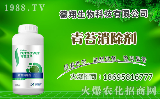 �Ͳ�ʲô�r(sh��)�g�Nֲ���Ͳ˷Nֲ������ʲô������Щע�����(xi��ng)��