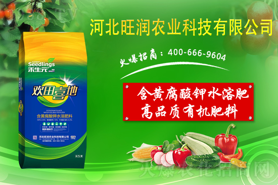 ���@����Ĥ��ô�Ч���������@䁷���Ĥ��Ҫ�c(di��n)��