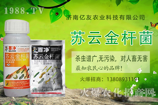 �S�ҷNֲ��(y��ng)ԓע����Щ���(xi��ng)���S�ҷNֲ�r(sh��)�g�����g������