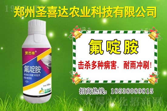 �������N��������Щ���������Ժ�ʲô�����׷N��