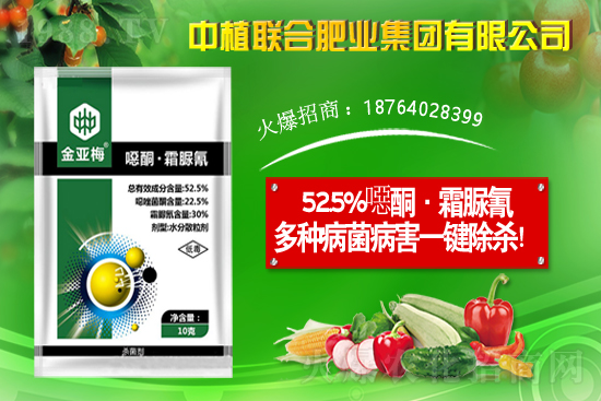 11��19�Շ���(n��i)���֮a(ch��n)�^(q��)�����r(ji��)��