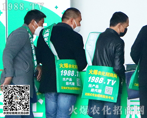 2020����ֲ���p����