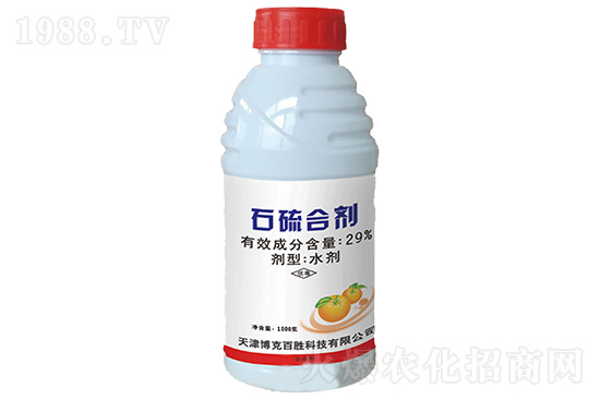 �׾����������r���߄�11.21