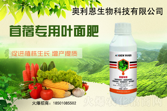 ��ޣԽ������ôʩ����ޣ��ʩ�ʹ���