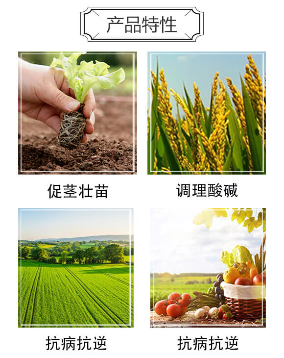 �ͺ�΢����ˮ�ܷ�-���������-���W����_03