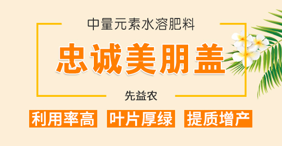 50g��������-��ʩ��_01