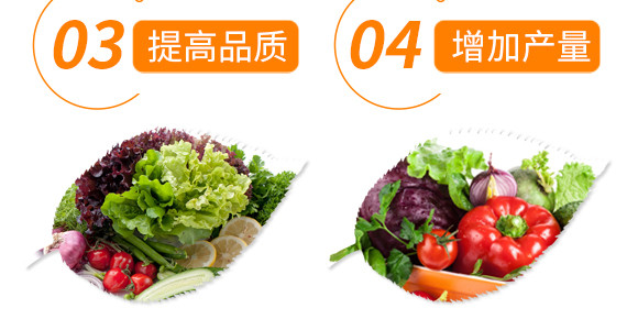 50g��������-��ʩ��_07