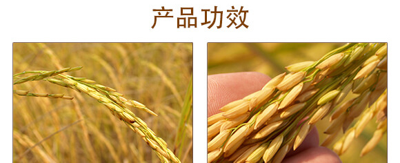 20%���r�����h(hu��n)��-������-���r(n��ng)����_04_02